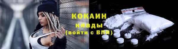 стаф Карпинск