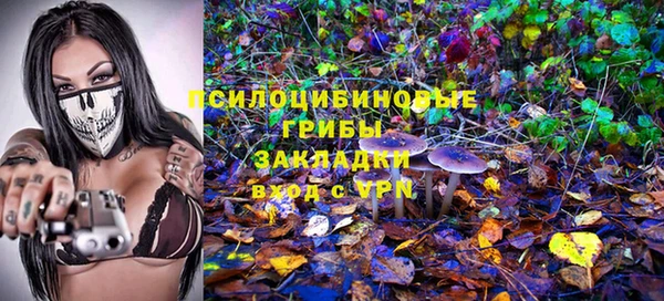 стаф Карпинск