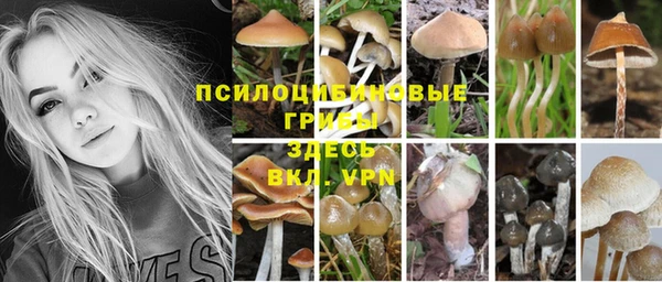 стаф Карпинск