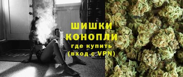 стаф Карпинск