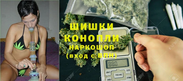 стаф Карпинск